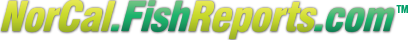 NorCalFishReports